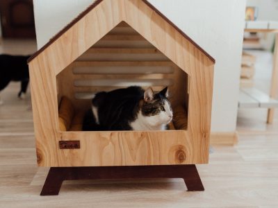 pexels-arina-krasnikova-7725622